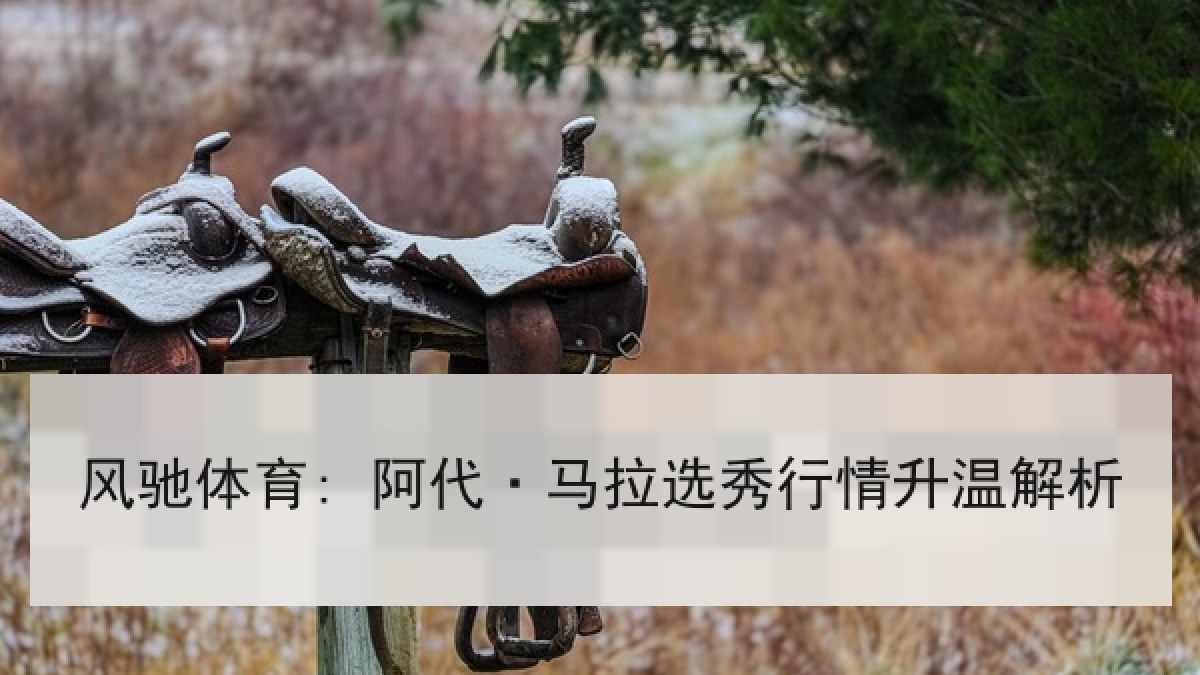风驰体育: 阿代·马拉选秀行情升温解析