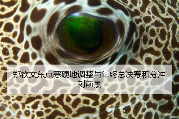 郑钦文东京赛硬地调整与年终总决赛积分冲刺前景