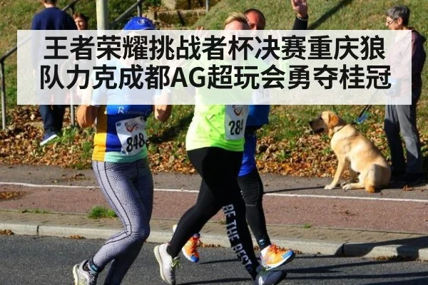 王者荣耀挑战者杯决赛重庆狼队力克成都AG超玩会勇夺桂冠